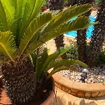 Verabetta * San Vito Lo Capo